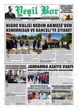 YEŞİL BOR