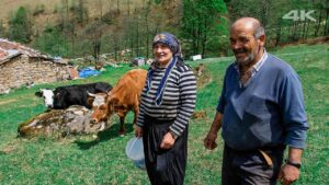 TR Yayladaki Yalnız Çift ve Hayvanları | Belgesel