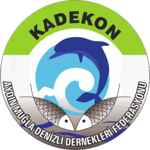 Dernek 5 Logo